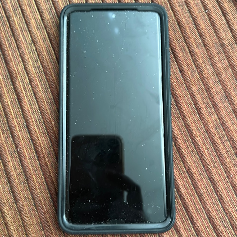 SAMSUNG Galaxy S21 Ultra 5G with Protect Case